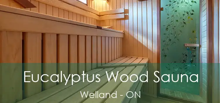  Eucalyptus Wood Sauna Welland - ON
