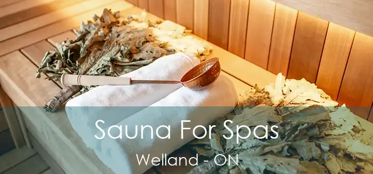 Sauna For Spas Welland - ON